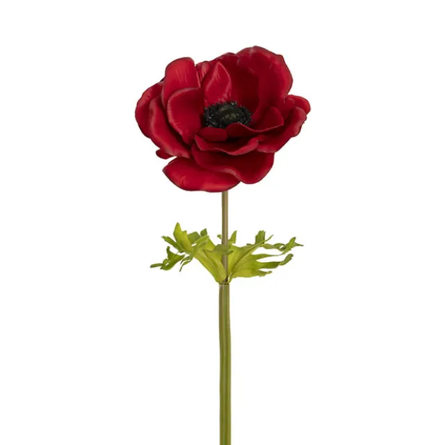 Anemone Flower Stem Red (14cmDx57cmH)