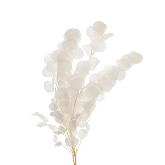 Preserved Dried Apple Leaf Honesty Bunch White