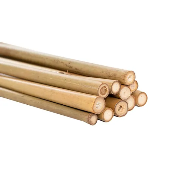 Bamboo Sticks 6-8mm Pack 12 (60cm) Natural Dried