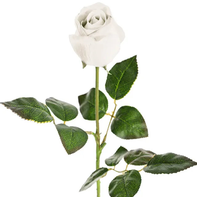Bella Real Touch Rose Bud White (60cmH)