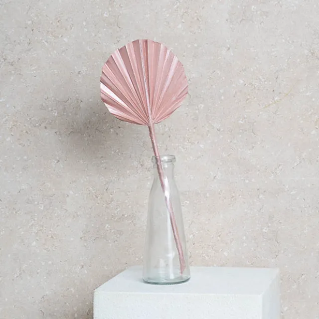 Preserved Dried Round Cut Palm Leaf Rose Gold (40-45cmH)