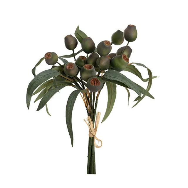 Native Eucalyptus Gumnut Bunch Green (36cmH)
