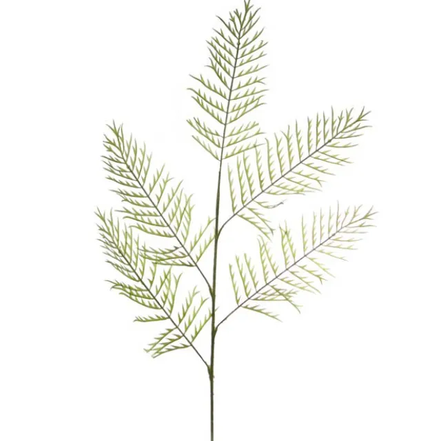 Buck's Horn Fern Stem Green (95cmH)