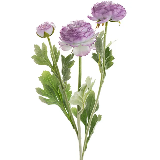 Buttercup Ranunculus Spray x3 Soft Purple (52cmH)