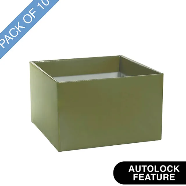 Medium No.6 Posy Box Autolock Base Pk10 Moss (16x12cmH)