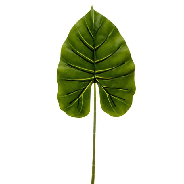 Canna Leaf Pick Dark Green (55cmH)