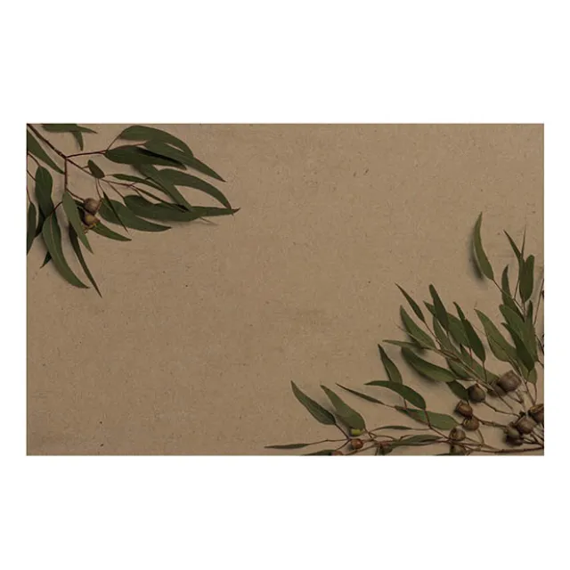 Cards Brown Kraft Native Gum Nuts & Leaves (10x6.5cmH) Pk 50