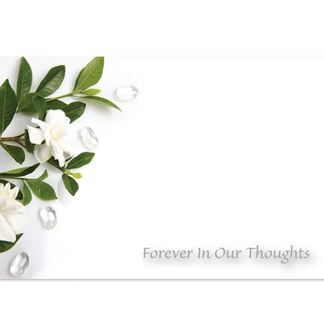 Cards Gardenia Forever In Our Thoughts(10x6.5cmH) Pack 50