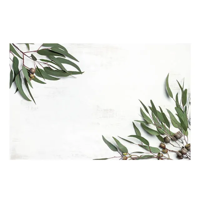 Cards White Native Gum Nuts & Leaves (10x6.5cmH) Pack 50