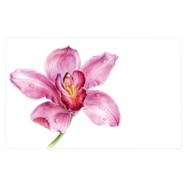 Cards White Pink Orchid Full Bloom (10x6.5cmH) Pack 50