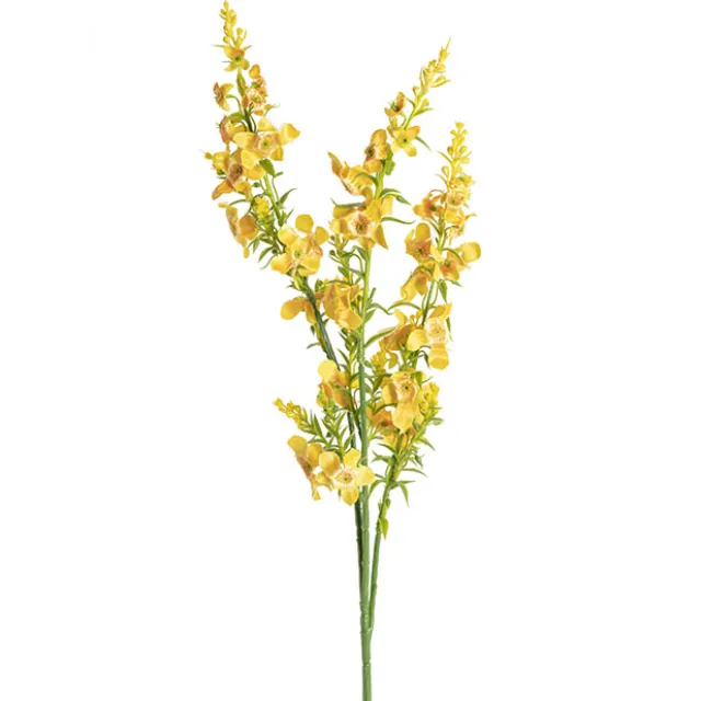 Catmint Spray Yellow (75cmH)