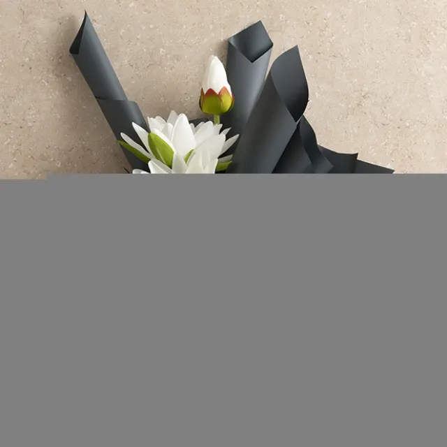 Cello Regal Pro 65mic Charcoal (50x70cm) Pack 100