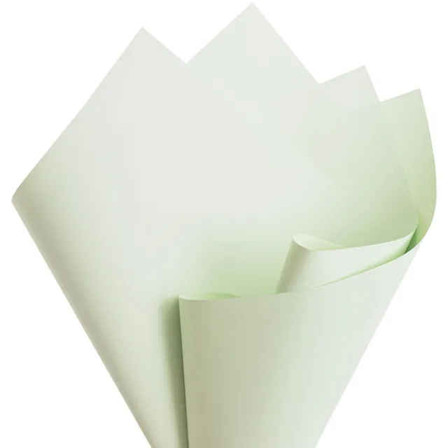 Cello Regal Pro 65mic Pastel Sage (50x70cm) Pack 100