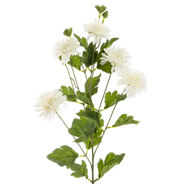 Chrysanthemum x 7 Head Spray White (83cmH)