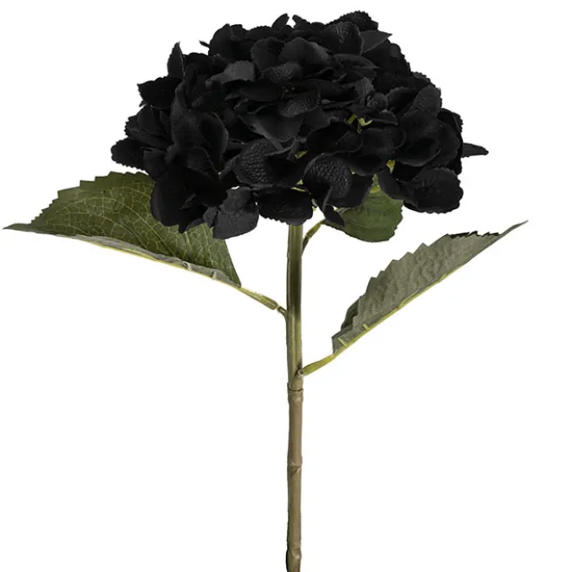 Claire Hydrangea Short Stem Black (52cmH)