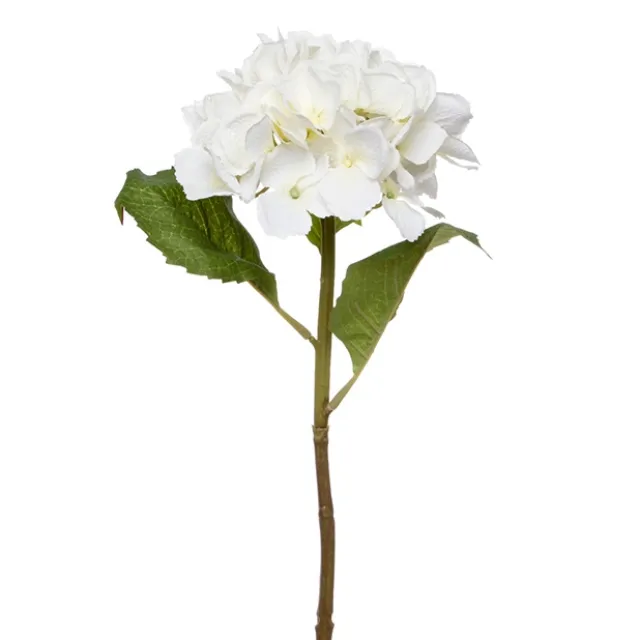 Claire Hydrangea Short Stem Cream (52cmH)