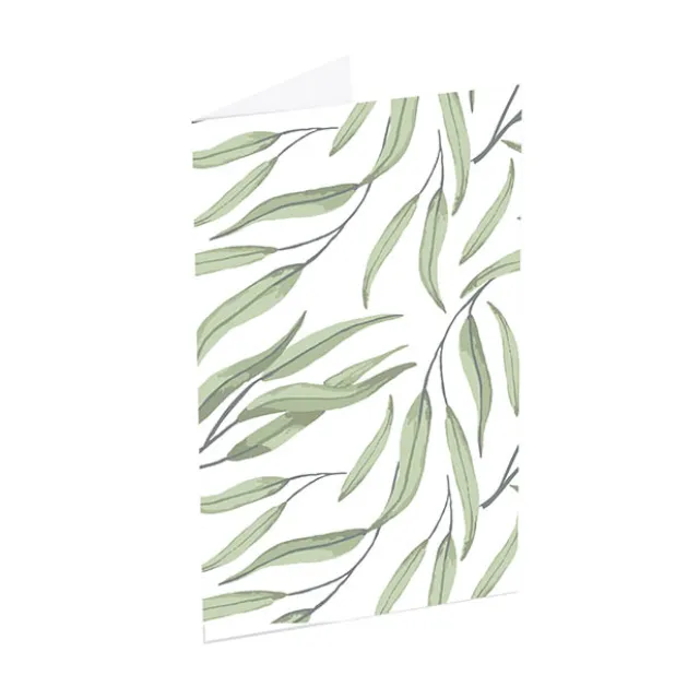 Classic Gift Card & Envelope Gum Leaves Pk25 (6.5x10cmH)