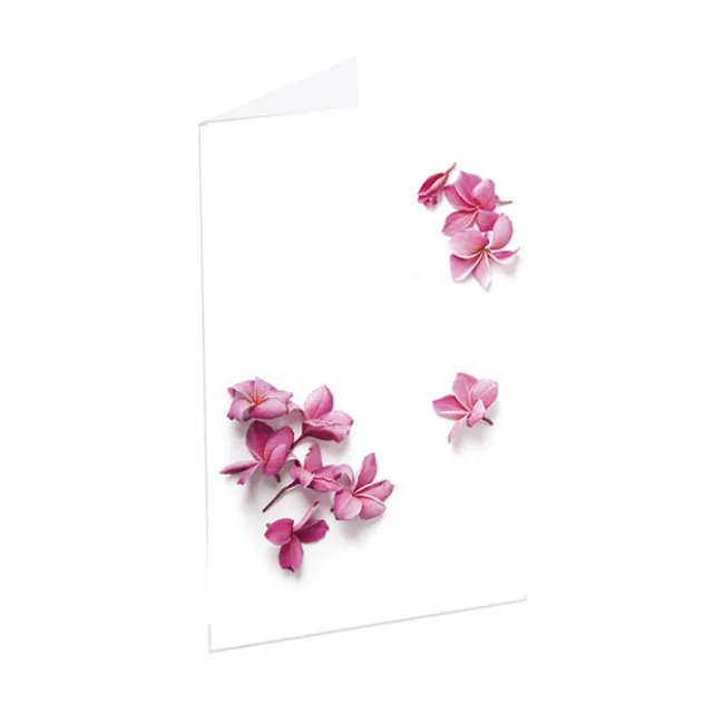 Classic Gift Card & Envelope Pink Blossoms Pk25 (6.5x10cmH)