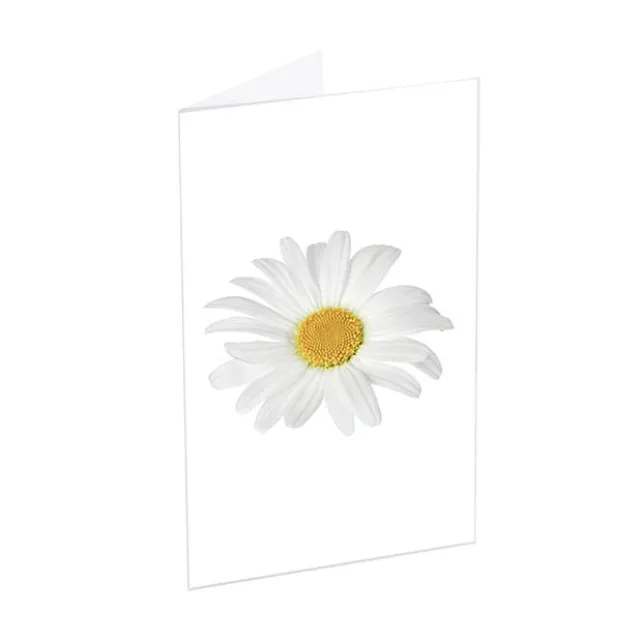 Classic Gift Card & Envelope Oh Daisy Pk25 (6.5x10cmH)