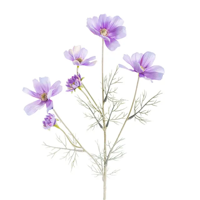Cosmos Spray Soft Purple (62cmH)