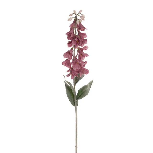 Creeping Bellflower Dusty Pink (82cmH)