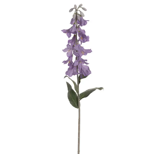 Creeping Bellflower Purple (82cmH)