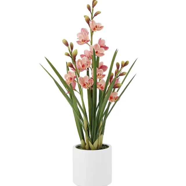 Cymbidium Orchid Real Touch 3 Stem Potted Pink (81cmH)