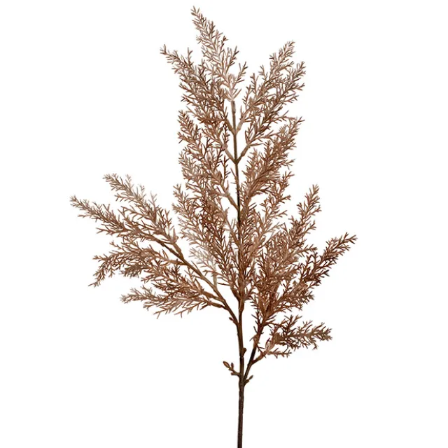 Cypress Fern Spray Almond (64cmH)