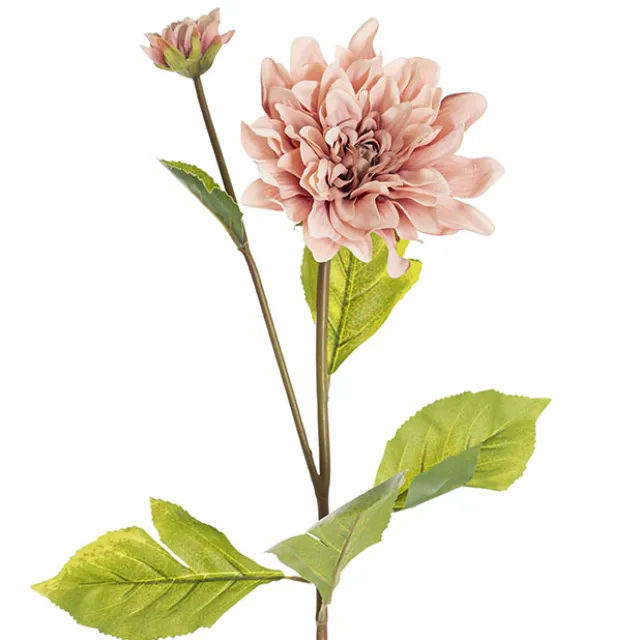 Dahlia Stem Blush Pink (53cmH)