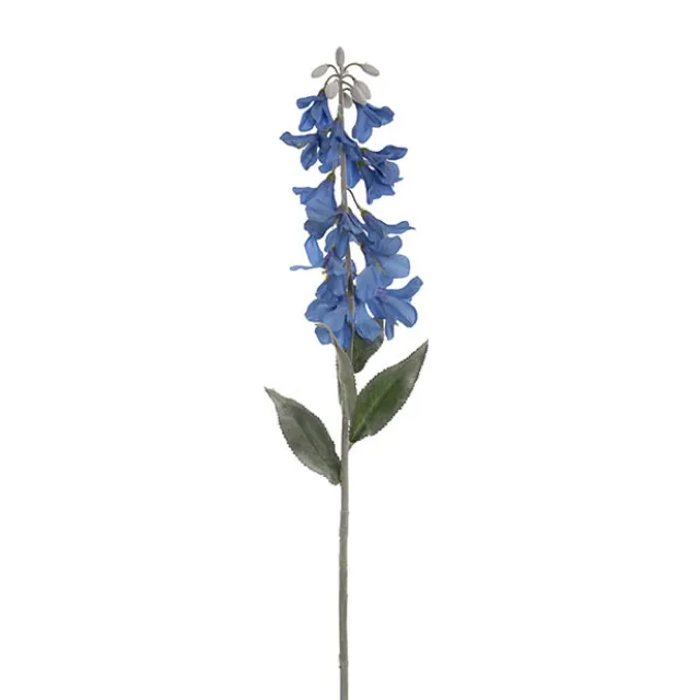Creeping Bellflower Blue (82cmH)