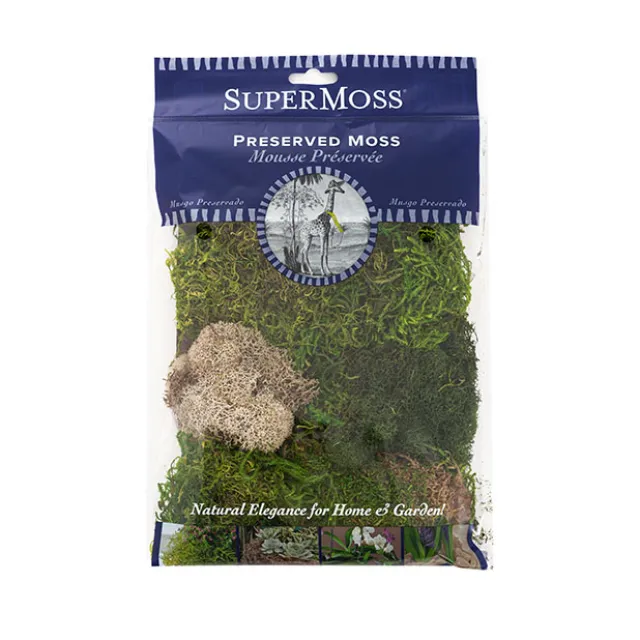 Delaware Moss Mix Preserved Bag Moss Assorted (55gm Bag)