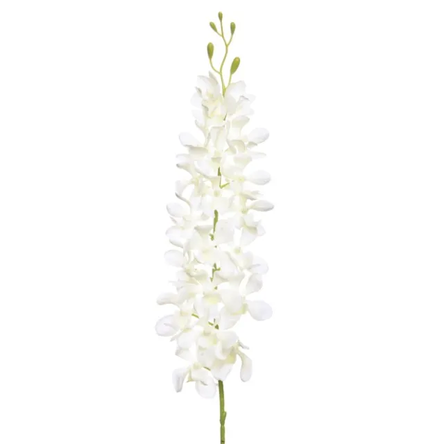 Dendrobium Tropical Orchid 20 Flowers Cream (95cmH)