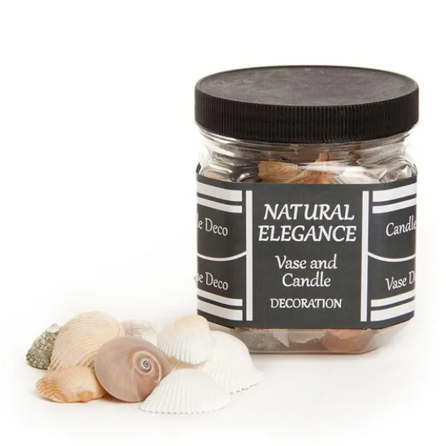 Shells Assorted Natural (340gm Jar)
