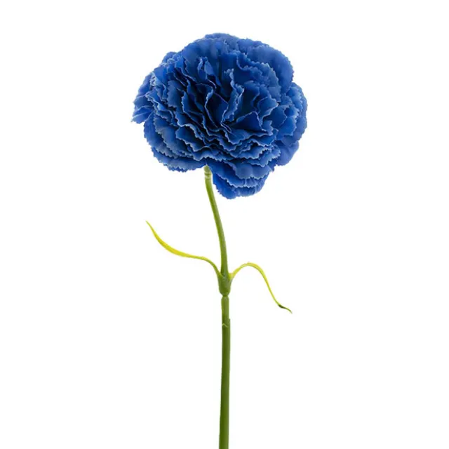 Carnation Ruffle Stem Deep Blue (9cmDx42cmH)