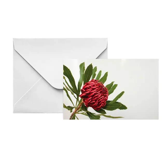 Artisan Gift Card & Envelope Waratah Red Pk25 (10x6.5cmH)