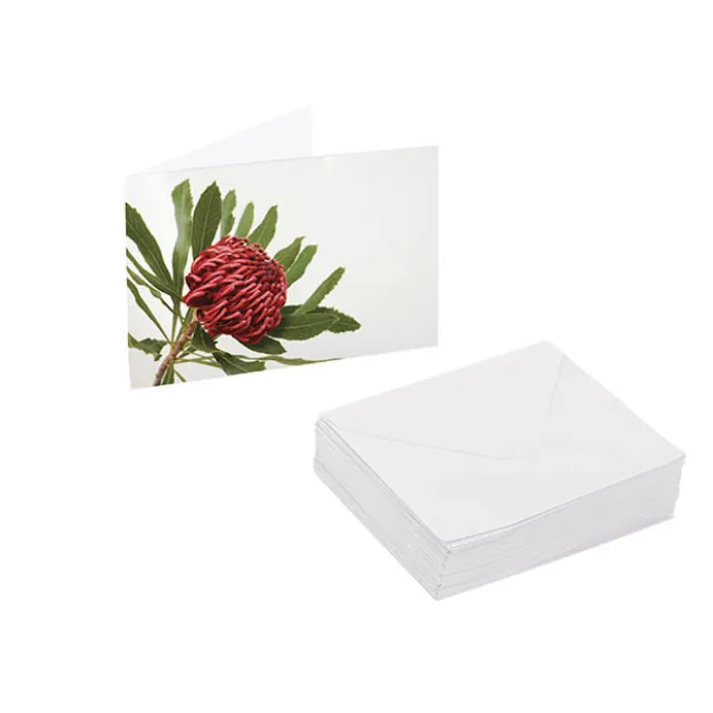 Artisan Gift Card & Envelope Waratah Red Pk25 (10x6.5cmH)