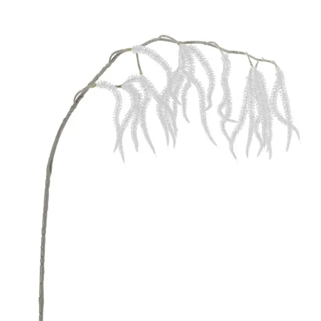 Draping Amaranthus Spray White (98cmH)