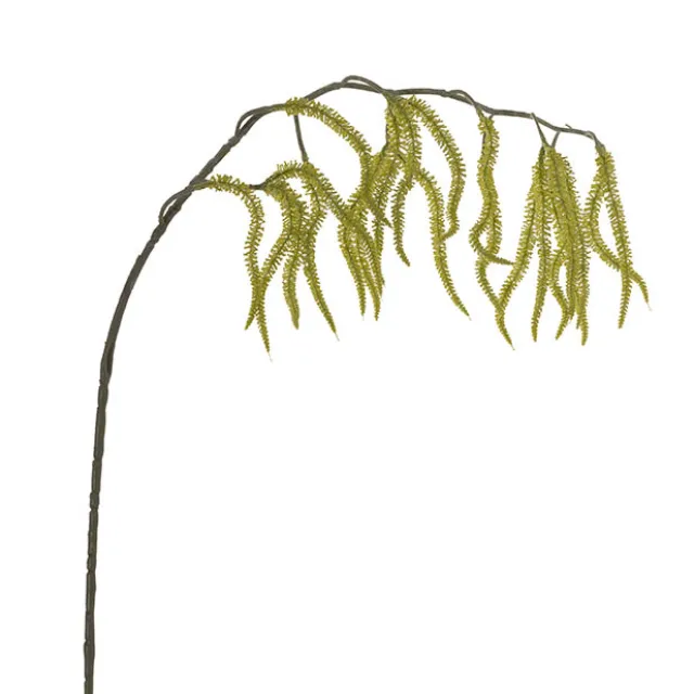 Draping Amaranthus Spray Green (98cmH)