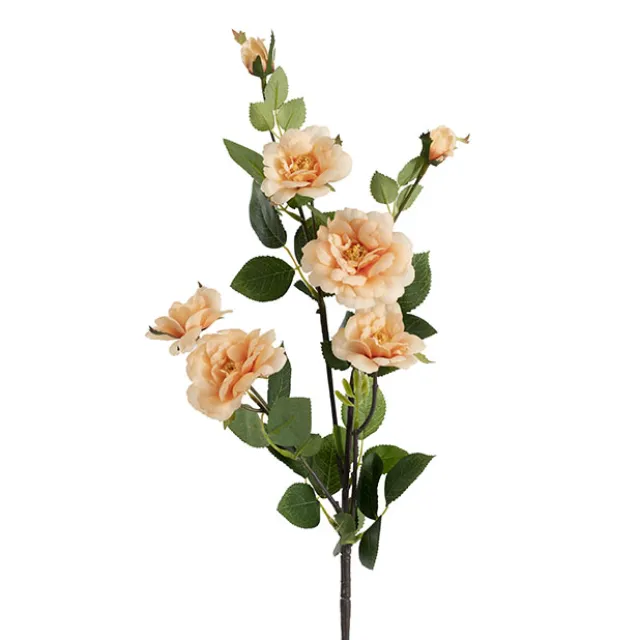 Iceland Rose Spray x 7 Head Peach (72cmH)