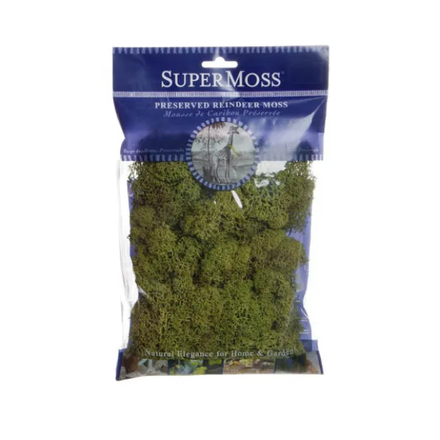 Reindeer Moss Preserved Bag Moss Dark Green (55gm Bag)