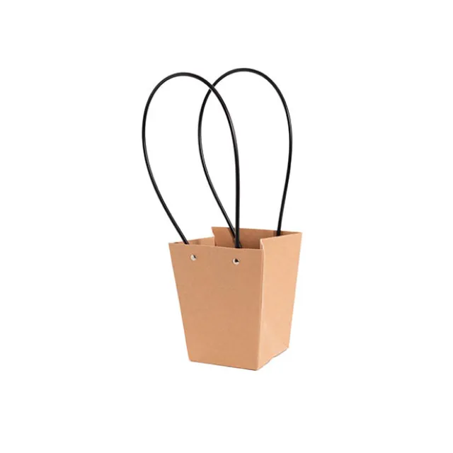 Flower Carry Bag Kraft Brown Small Pk5 (9.5x13x15.5cmH)