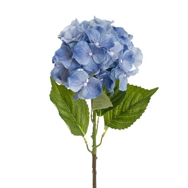 Eldorado Hydrangea Stem French Blue (18cmDx64cmH)