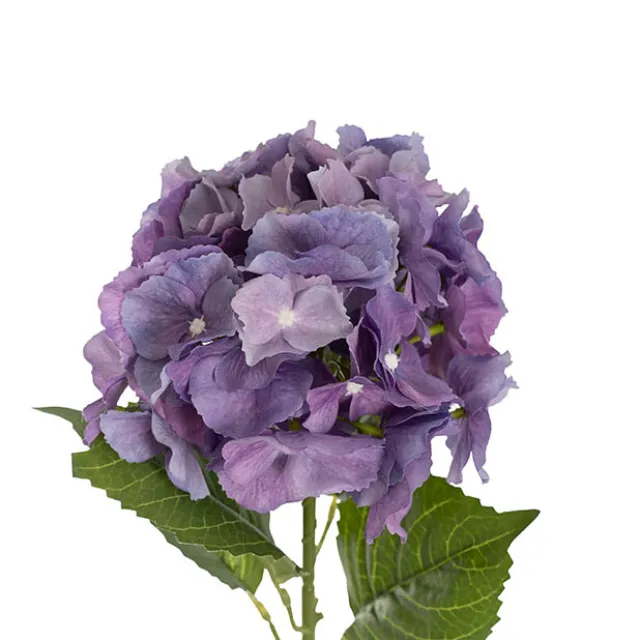 Eldorado Hydrangea Stem Violet Purple (18cmDx64cmH)