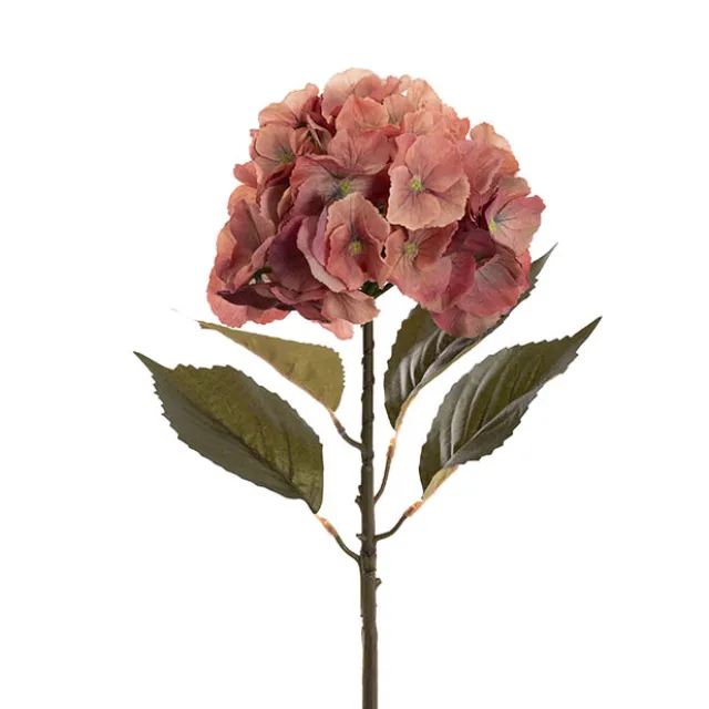 Eldorado Hydrangea Stem Rustic Coral (18cmDx64cmH)