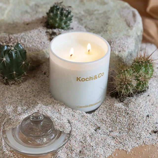 Fragrance Soy Candle Leisure Cactus Blossom (10x14.5cm) 360g