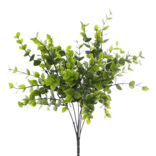 Eucalyptus Bunch Green (30cm)