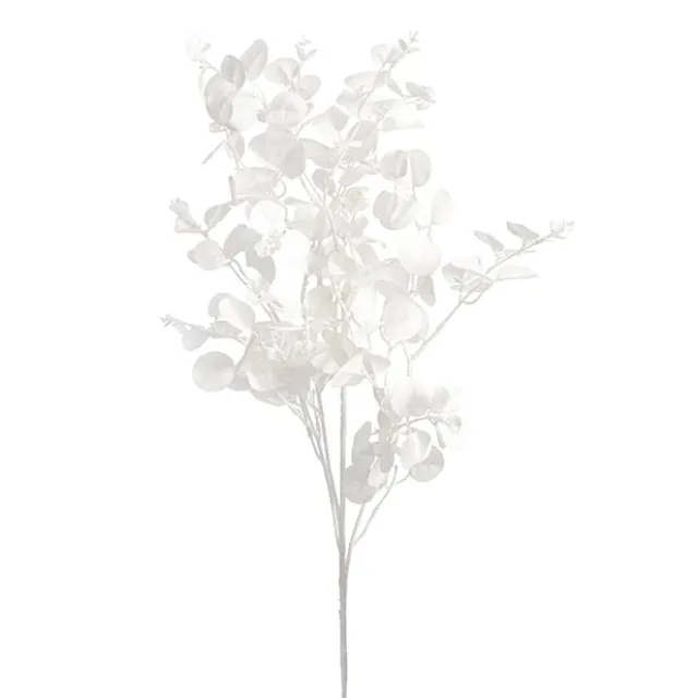 Eucalyptus Dollar Gum Spray White (80cmH)