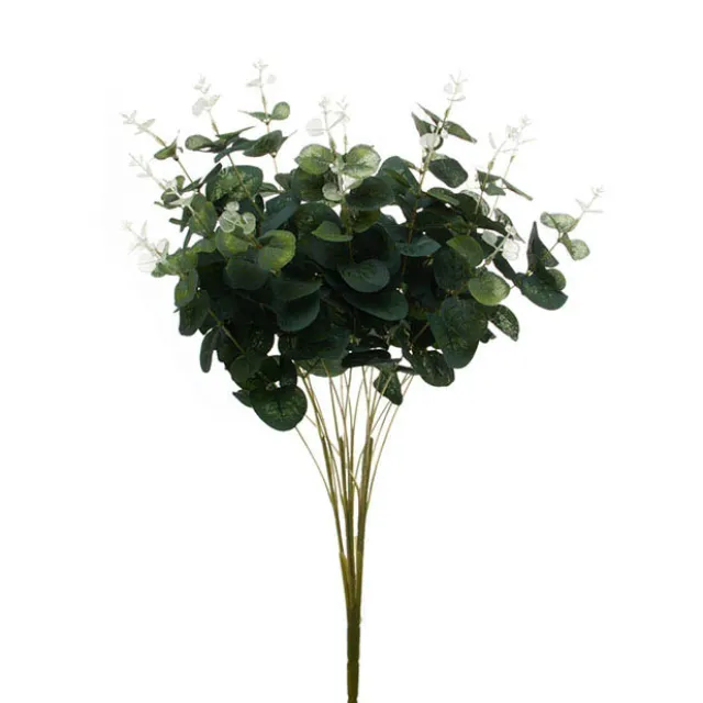 Eucalyptus Leaf Bush (50cmH)
