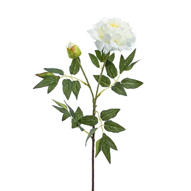 Evelyn Peony Spray White (70cmH)