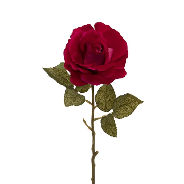 Event Velvet Rose Short Stem Hot Pink (11cmDx35cmH)